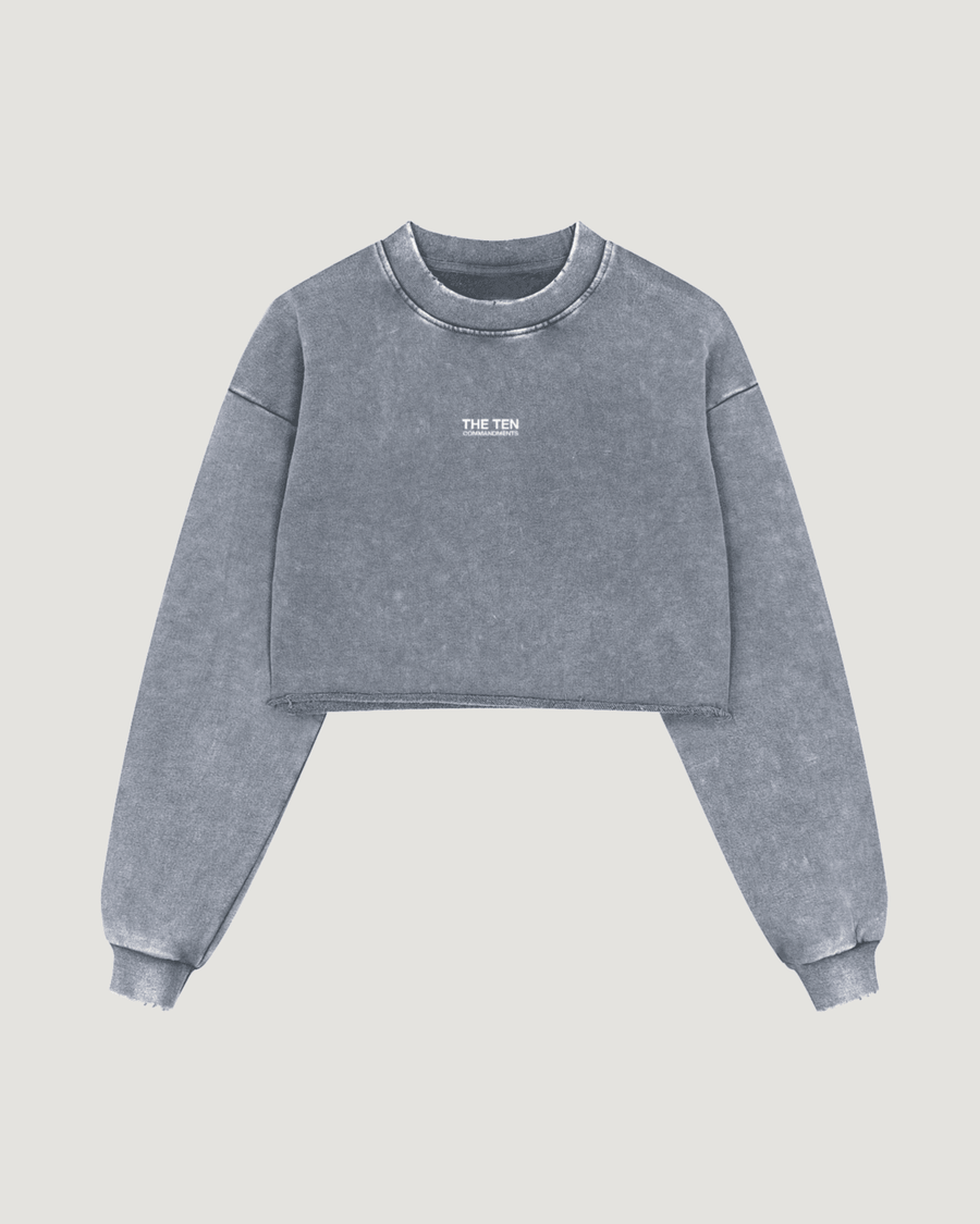 THE TEN CROP TOP LS